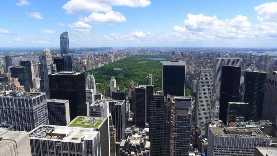 NYC_2014-05-31 11-34-32_P1090554